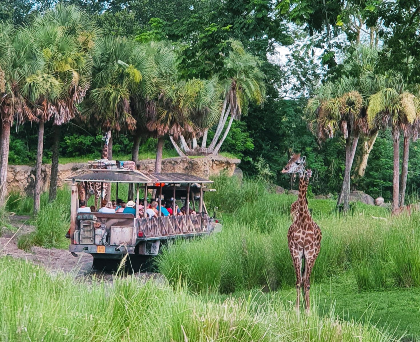 Walt Disney World is full of rides, experiences and attractions suitable for all the family. Let's face it, the theming at any Disney park is incredible and the Walt Disney World rides do not disappoint. As a family, we enjoyed most of the rides. However, we had some favourites that we rode multiple times. Our top three experiences being Slinky Dog Dash, the Twilight Zone Tower of Terror and Flight of Passage.  - www.channongray.com // heythereChannon